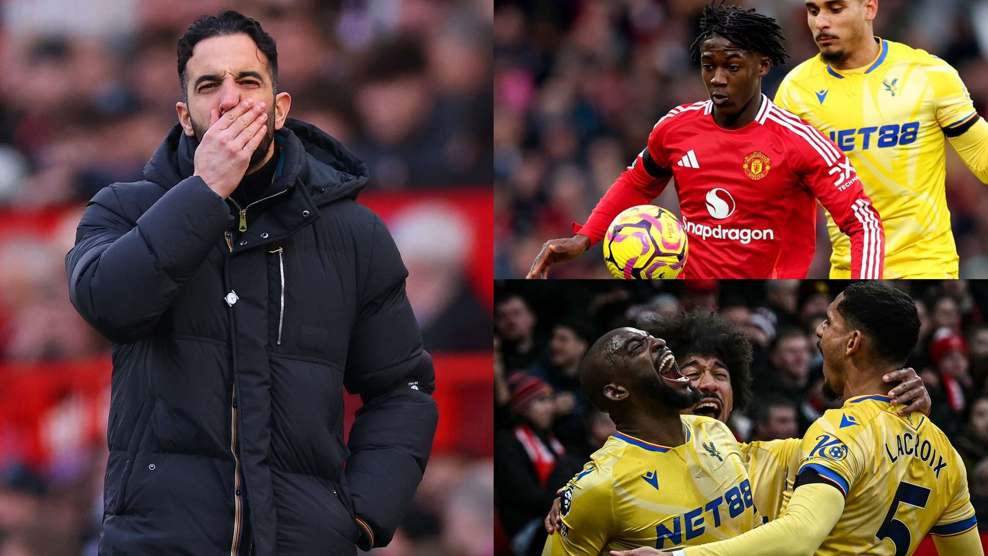 上依赖于教 上依赖于教