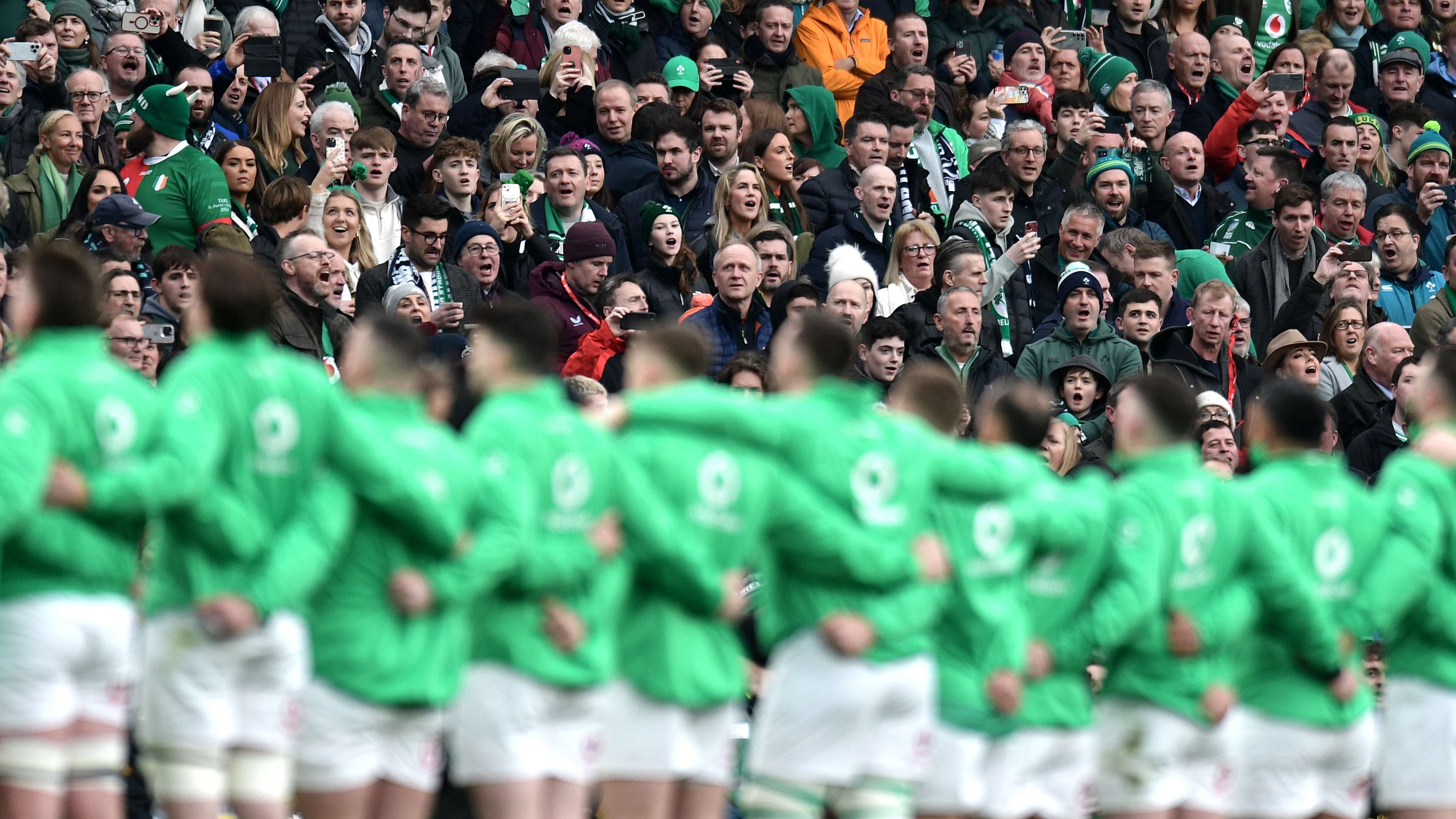 这种多样的 这种多样的