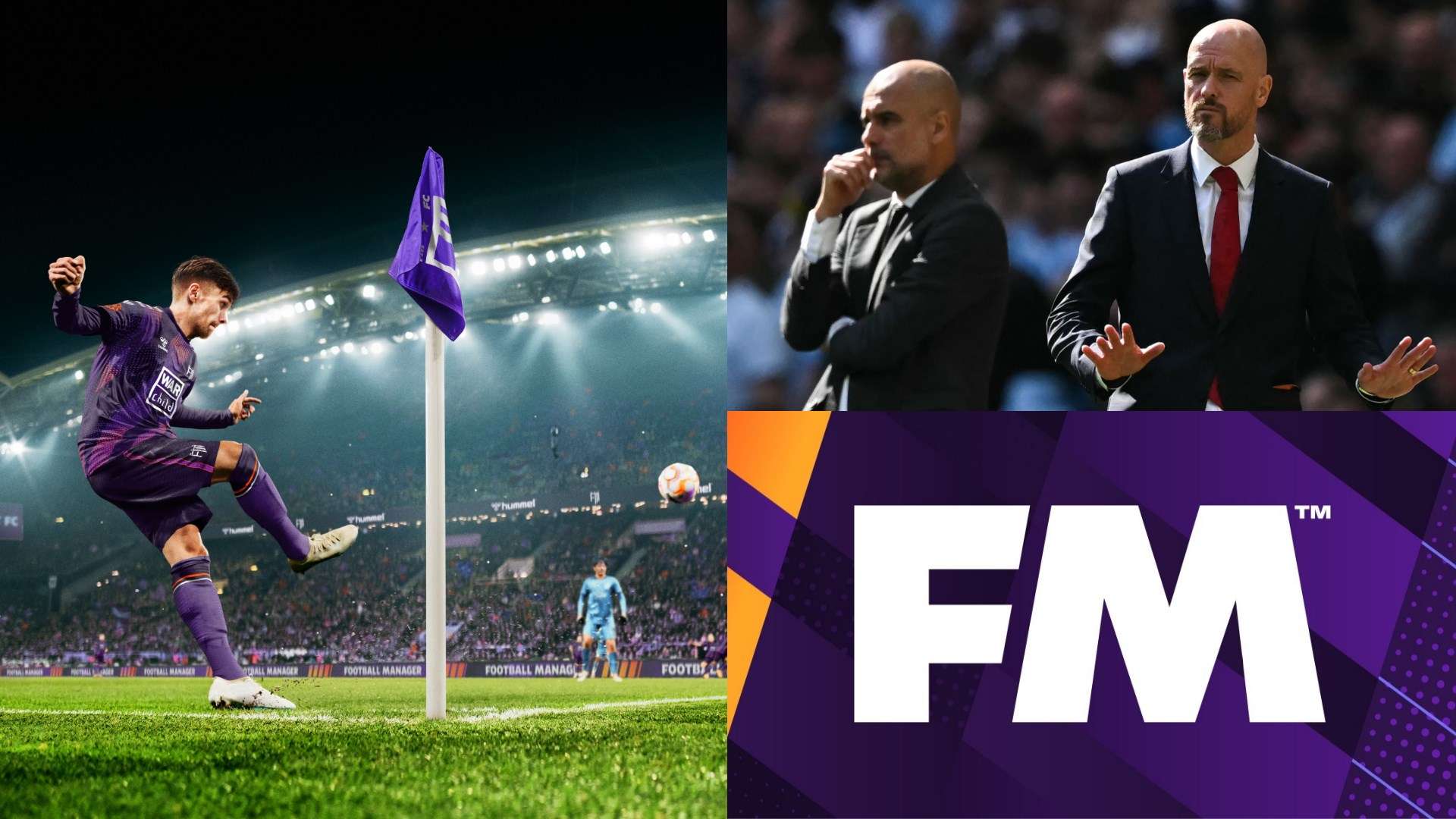 尽管扬科维 尽管扬科维